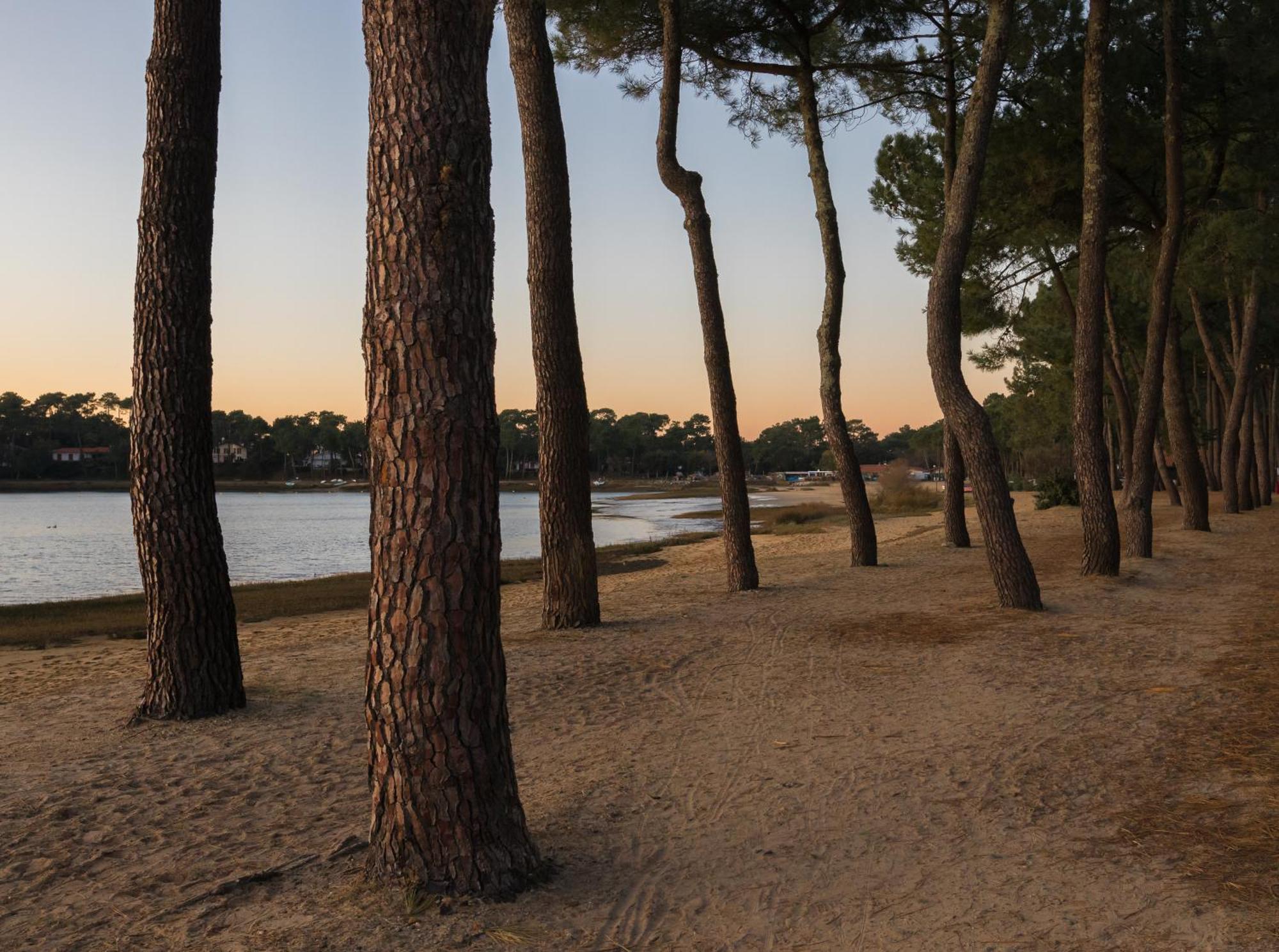 Residence Hoteliere Les Acanthes Soorts-Hossegor Luaran gambar