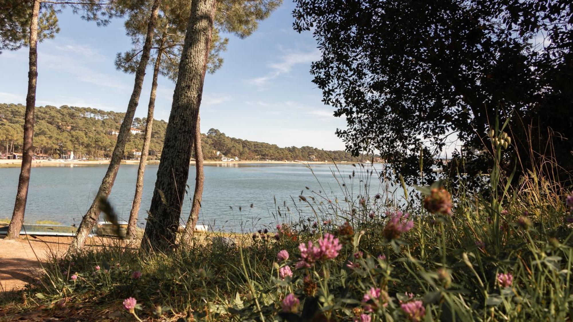 Residence Hoteliere Les Acanthes Soorts-Hossegor Luaran gambar